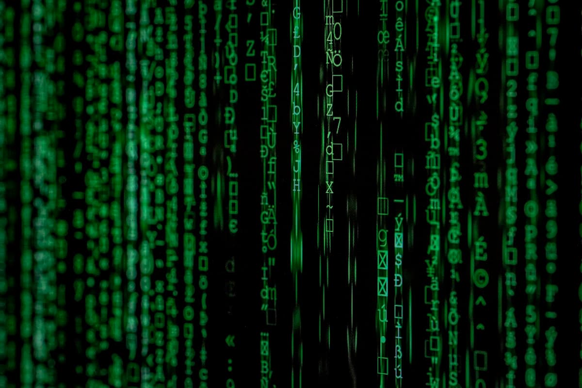 Binary data and token authentication streams on a monitor