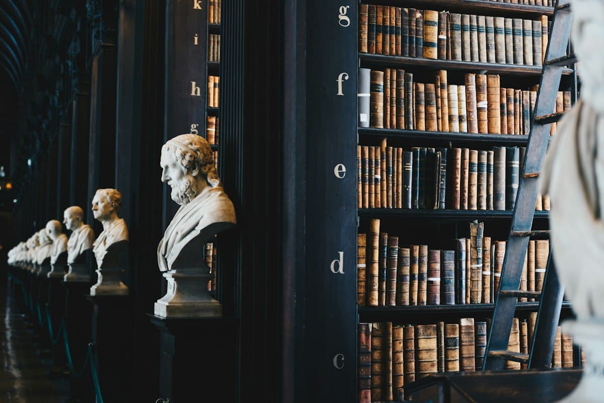 Law library shelves with bound research volumes and judicial records